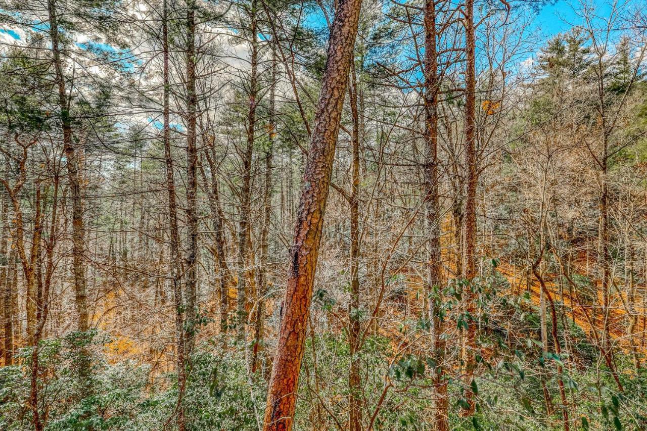 Etowah Villa Blue Ridge Exterior foto